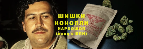 гашик Чердынь