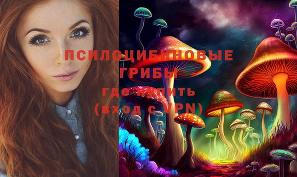 a pvp Дмитровск