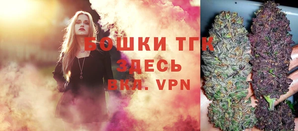 винт Дмитров