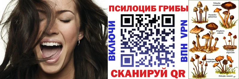 наркота  Омутнинск  Галлюциногенные грибы ЛСД 